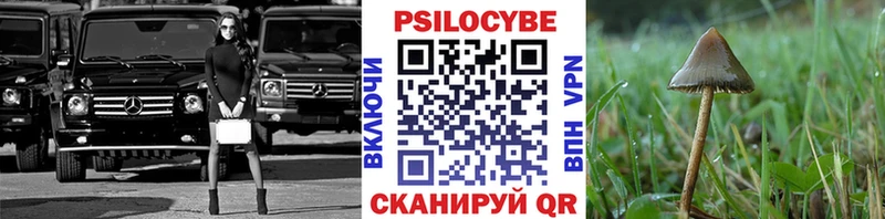 darknet телеграм  Торопец  Галлюциногенные грибы ЛСД 