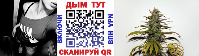 наркота  Торопец  Канабис план 